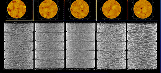 topological analysis of X-ray CT data