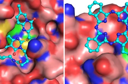 simulation of spike proteins and targets in different colors