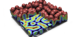 square cutaway of rainbow-colored data reconstruction