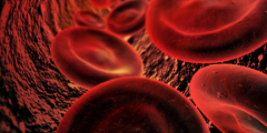 stock illustration of red blood cells inside a blood vessel