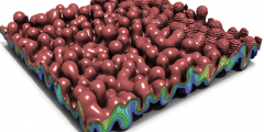 3D cutaway of a lumpy simulation in red and green