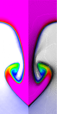  Results for density and curvilinear mesh in the Rayleigh-Taylor problem using Q2-Q1 finite elements at times t =  5