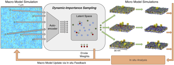 diagram of DynIm autoencoder